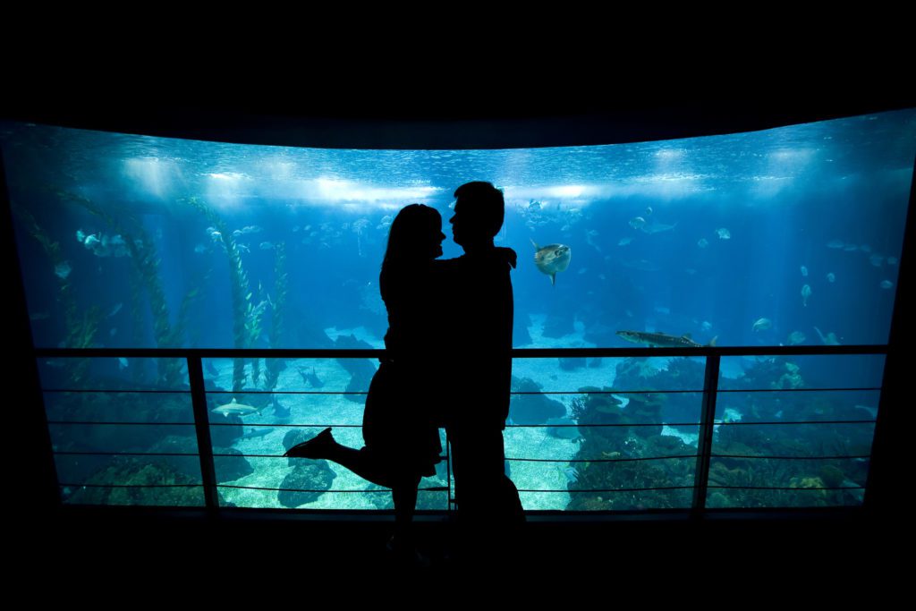 Plan a date under the sea at Ripley's Aquarium, one of the many romantic things to do for couples in myrtle beach.