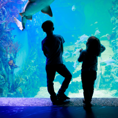 Two kids in front of tank at Ripleys Aquarium, a Myrtle Beach attraction open year round.