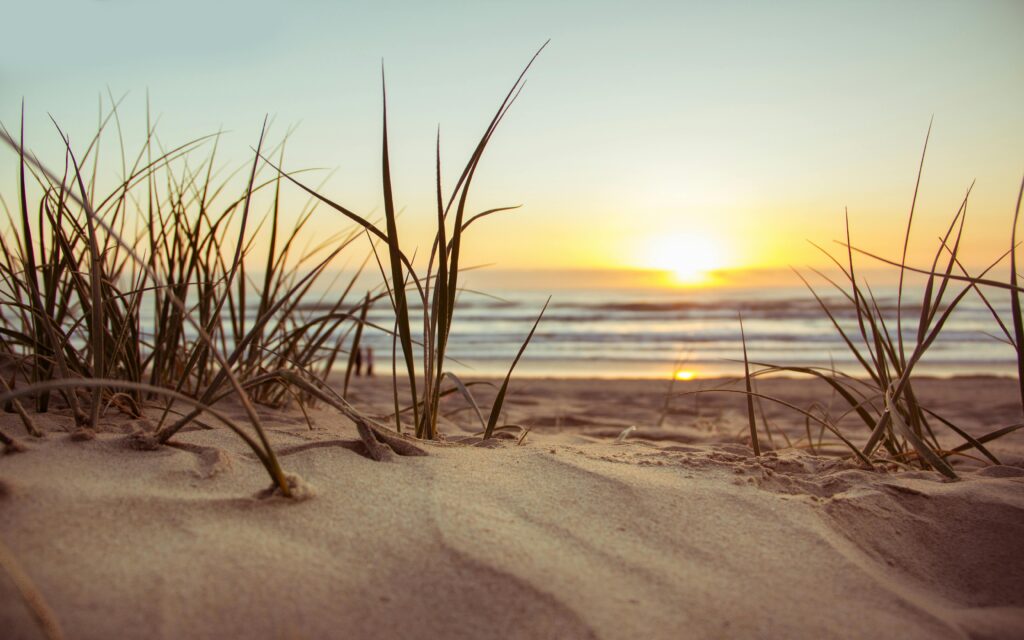 Best area to stay in myrtle beach is oceanfront at Sea Crest Resort