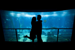 Plan a date under the sea at Ripley's Aquarium, one of the many romantic Myrtle Beach attractions for couples.